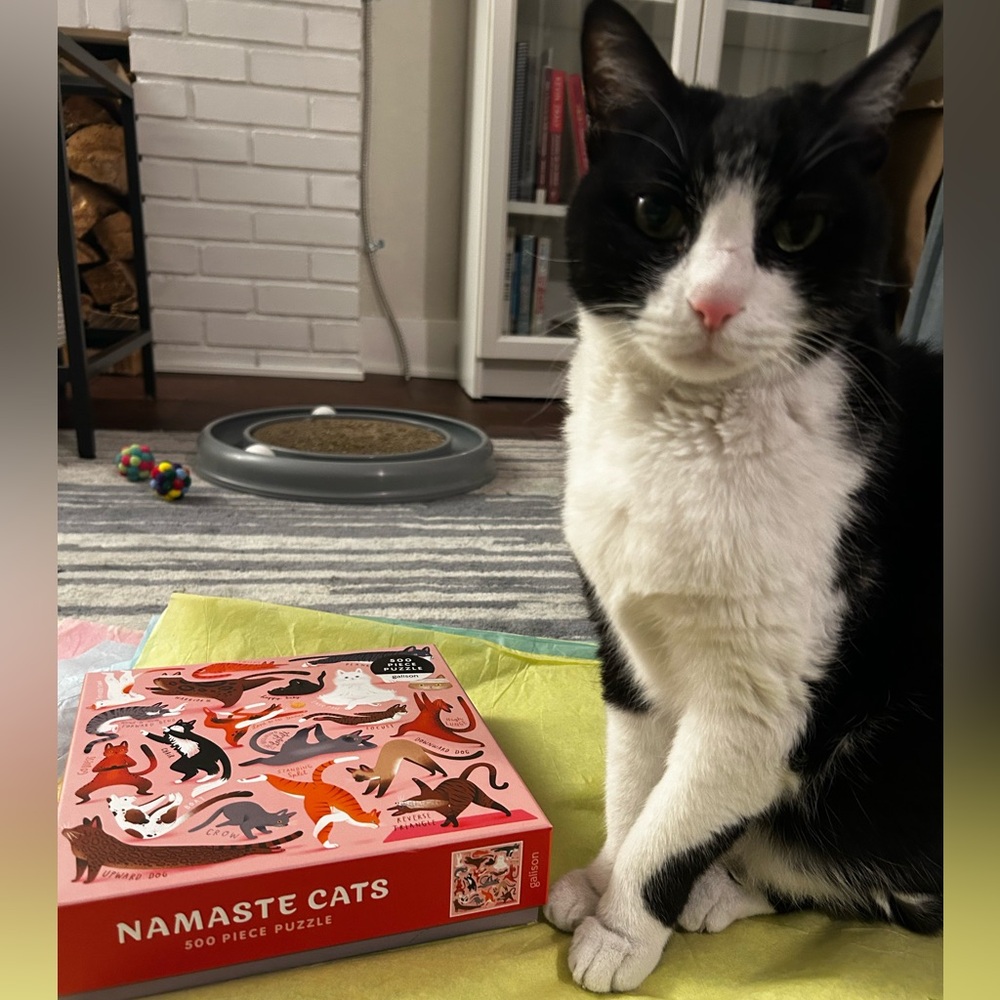Namaste Cat Yoga Pilates 500 Piece Puzzle with All Pieces - Picture 5 of 5